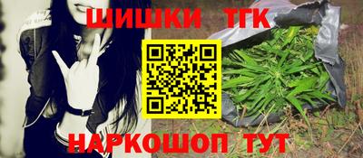гидра Долгопрудный