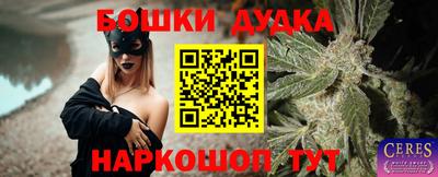 гидра Долгопрудный