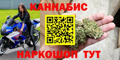 гидра Долгопрудный