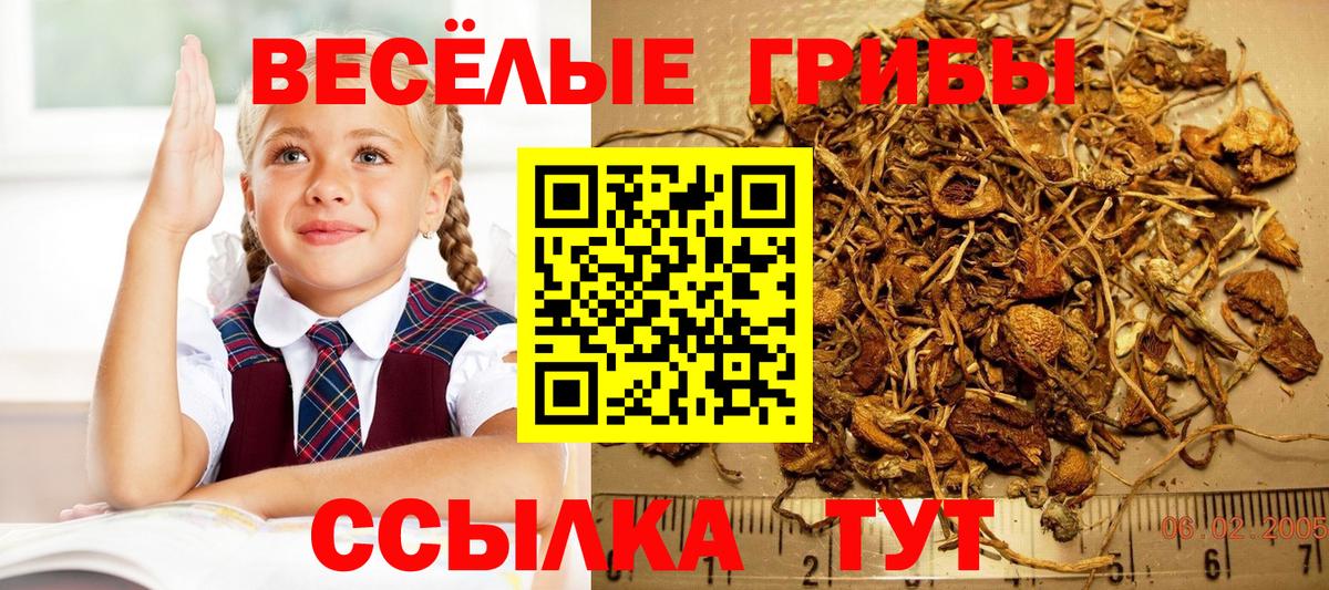Псилоцибиновые грибы GOLDEN TEACHER Богородск