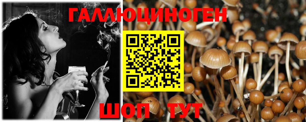 Псилоцибиновые грибы ЛСД  Вход с VPN  Псилоцибиновые грибы GOLDEN TEACHER  Богородск 